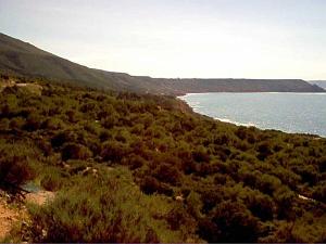Algerie avril2005 057